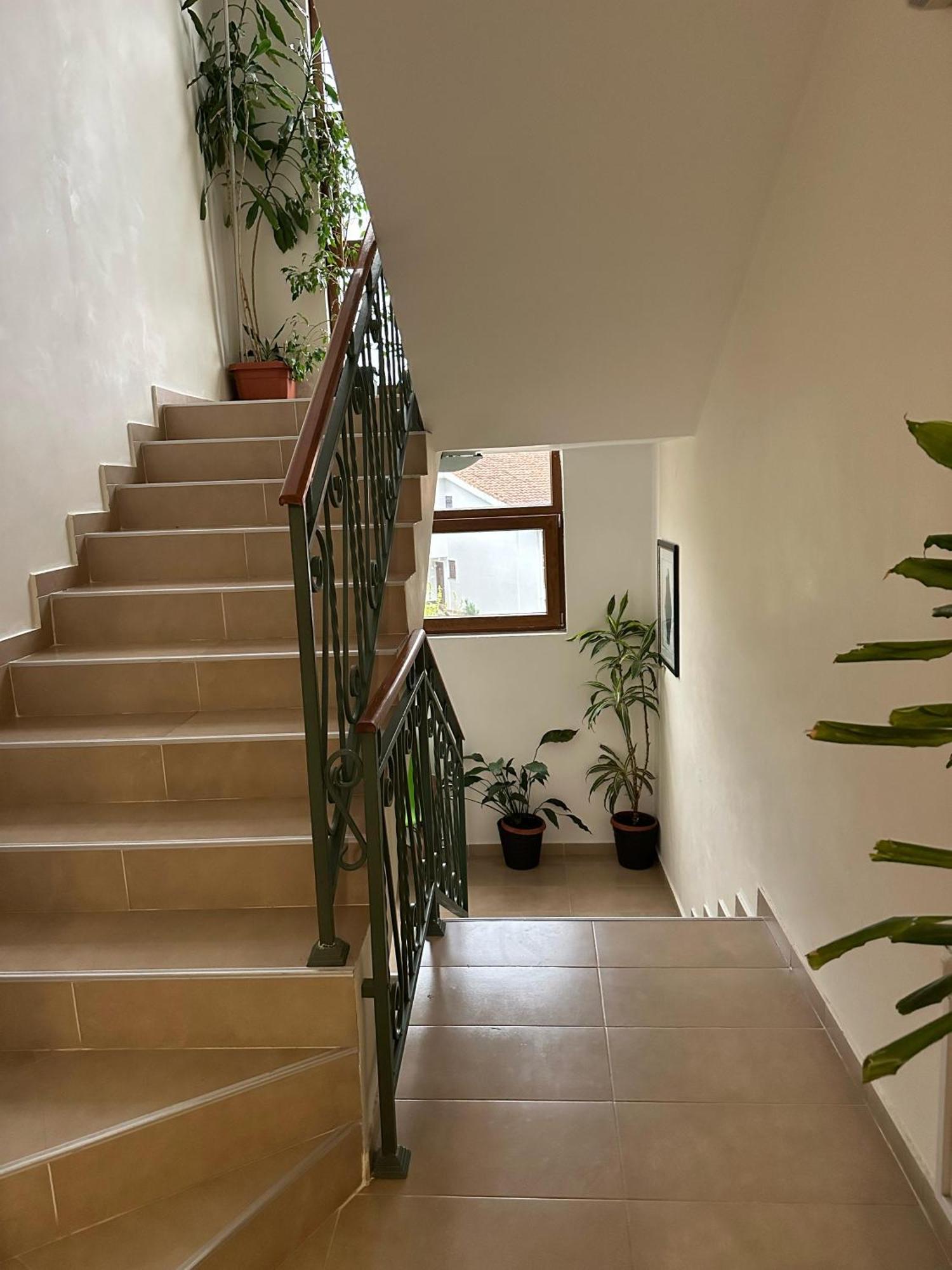 Apartments Krapina Lux Budva Exterior photo